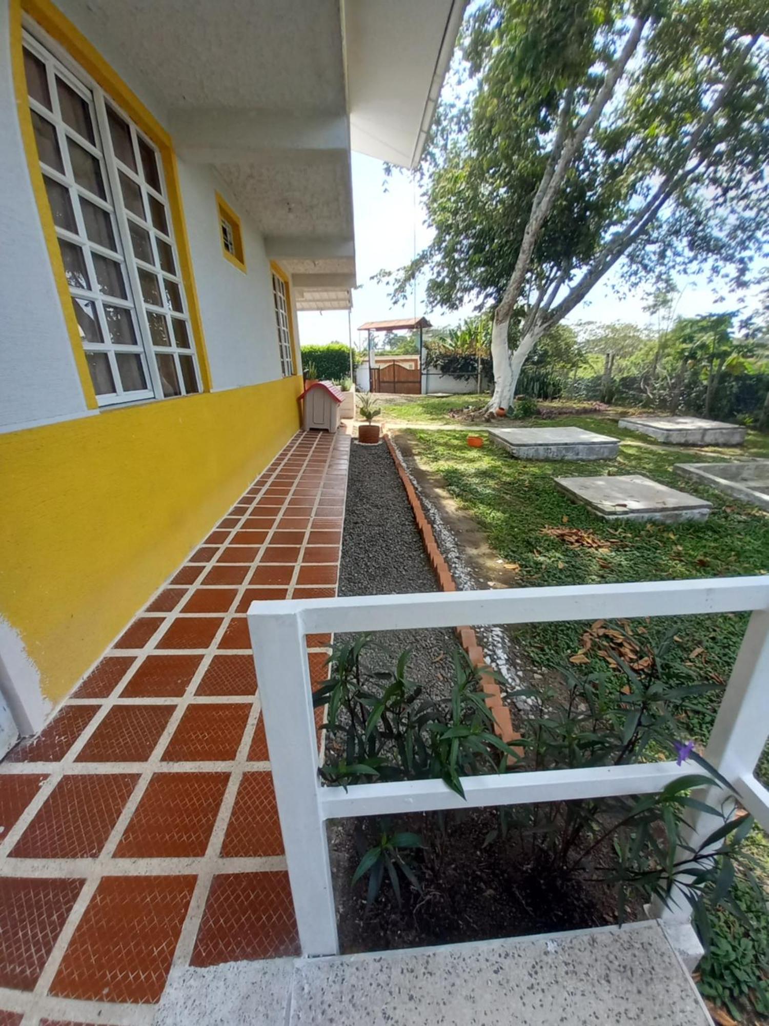 Lodge Sol De Maiz